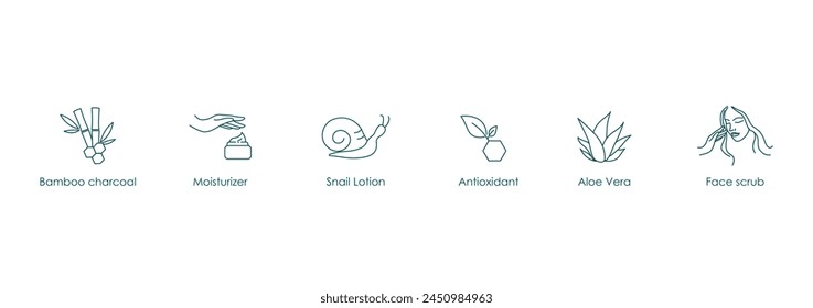 Bamboo Charcoal, Moisturizer, Snail Lotion, Antioxidant, Aloe Vera Vector Icons Set