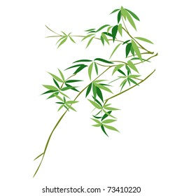 Bamboo - Chinese Painting Vector Background.