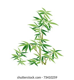 Bamboo - Chinese Painting Vector Background.