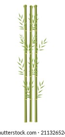 bamboo chinese plant tropical icon