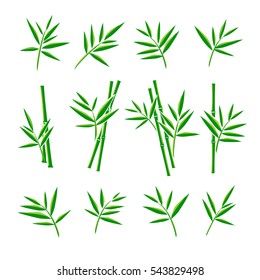 Bamboo collection set. Vector