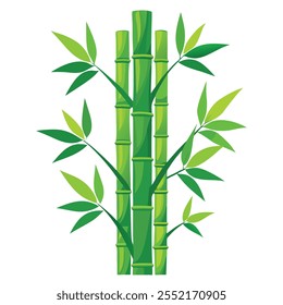 A Bamboo Color And Silhouette Vector