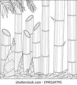 Bamboo, Coloring book antistress for children and adults. Illustration isolated on white background.Zen-tangle style. Black and white drawing