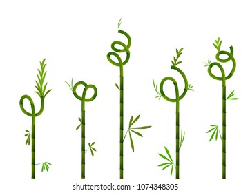 bamboo decor set isolated on the white, vector