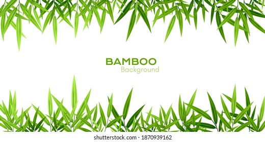 Bamboo decoration. Background with leaves borders.