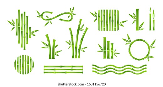 Bamboo decoration collection. Vector isolated design elements.