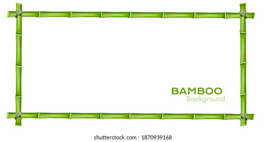 Bamboo decoration. Vector frame. Nature background with copy space.