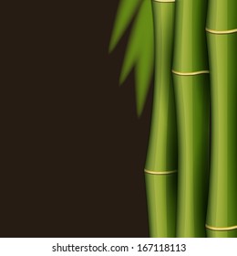 Bamboo design template