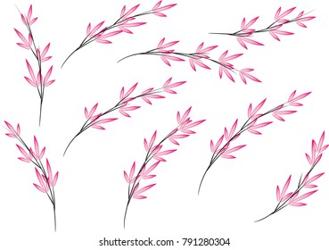 bamboo design vector
