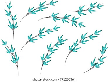 bamboo design vector