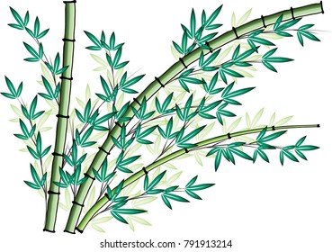 bamboo design vector