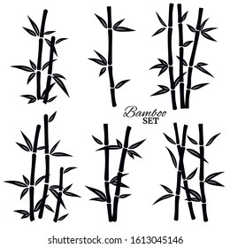 Bamboo elements set. Bamboo black icons for your design. Vector illustration.