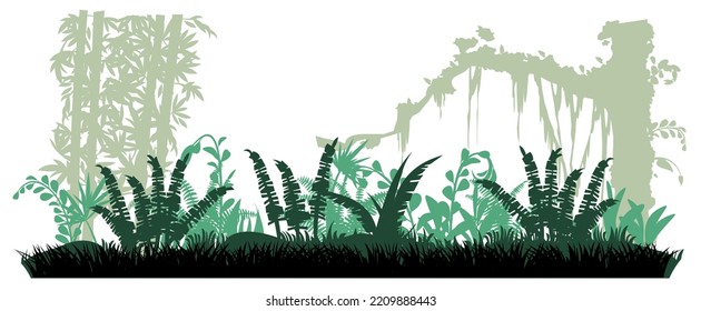 Bamboo and fern grass. Jungle rainforest. Nature landscape silhouette. Dense tropical thickets. Isolated on white background. Vector