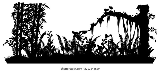 Bamboo and fern. Jungle rainforest. Nature landscape silhouette. Dense tropical thickets. Isolated on white background. Vector