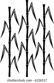 bamboo field