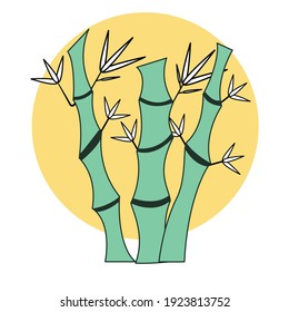Diseño plano de bambú con trazos. concepto de ilustración vectorial de naturaleza.