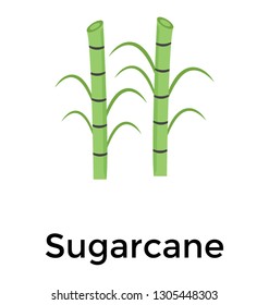 Bamboo flat icon design 