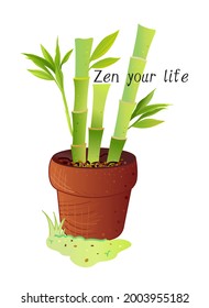 Bamboo flowerpot. Zen bamboo pot. Plantpot with green bamboo and leaves. Clay pot on the ground with vegetables. Oriental plants.