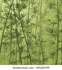 Bamboo forest background.
