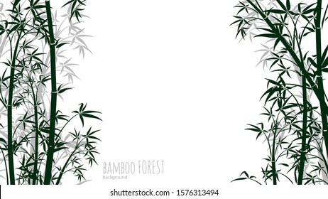 Bamboo forest background. Asian plants silhouettes backdrop. Chinese, japanese tropical rainforest vector banner