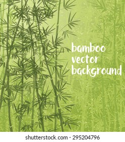 Bamboo forest background with copy space.