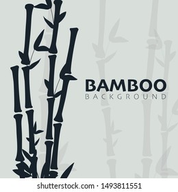 Bamboo forest background. Nature of Japan or China