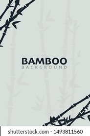 Bamboo forest background. Nature of Japan or China