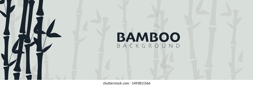 Bamboo forest background. Nature of Japan or China