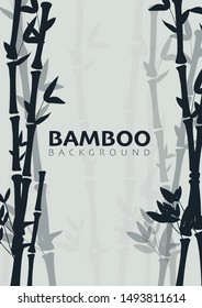 Bamboo forest background. Nature of Japan or China