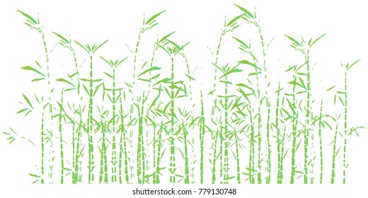 Bamboo forest background pattern. Hand drown bamboo forest. Vector illustration