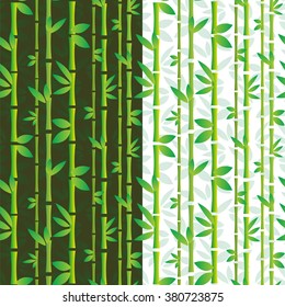 Bamboo forest background vector