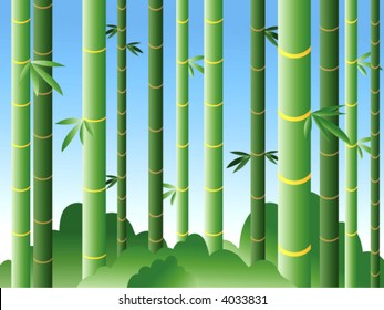 Bamboo forest in daylight