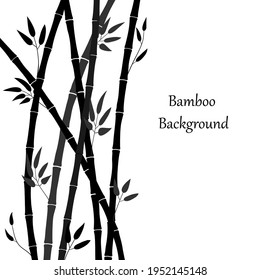 Bamboo forest illustration. Vector background with bamboo stems and leaves. Graphics, black silhouette of plants on white. Template for banner, cover, advertisement, internet story, print on mug