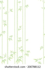 bamboo forest isolated on the white background
