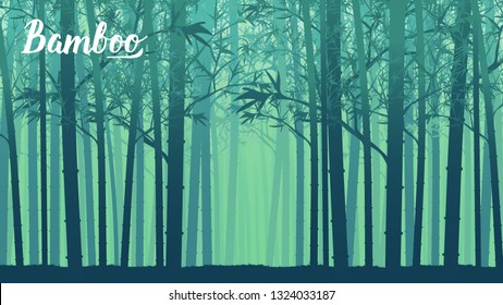 Bamboo forest in the morning. Forest at Arashiyama, Kyoto,Japan. Lanscape of bamboo tree in tropical rainforest, Malaysia. Template land page wallapapers design concept