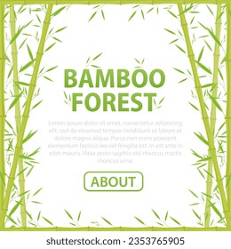 Bamboo forest. Nature. Japan, China. Green bamboo stems with leaves. Tropical forests in Asia. Bamboo background with place for text. Vector illustration