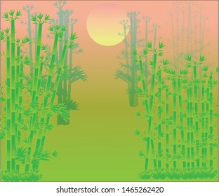 bamboo forest on a full moon