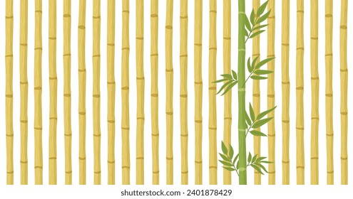 Bamboo forest pattern. Dry bamboo stalks and green bamboo shoot with fresh leaves flat vector background illustration. Cartoon bamboo backdrop