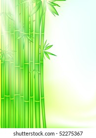 bamboo forest in the rays of the rising sun, EPS 10