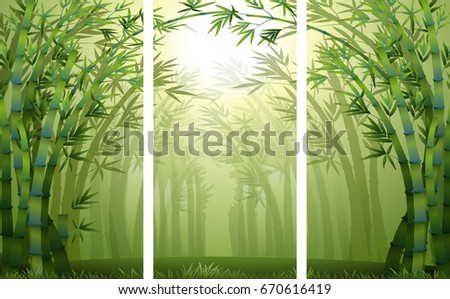 Scènes de forêt de bambou avec illustration à la brume