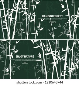 Bamboo forest set. Nature. Japan., China. Plant. Green tree with leaves. Rainforest in Asia.