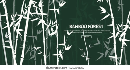 Bamboo forest set. Nature. Japan., China. Plant. Green tree with leaves. Rainforest in Asia.