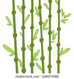 Bamboo forest set. Nature Japan, China. Plant Green tree with leaves. Rainforest in Asia.
