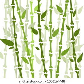 Bamboo forest set. Nature Japan, China. Plant Green tree with leaves. Rainforest in Asia.