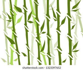 Bamboo forest set. Nature Japan, China. Plant Green tree with leaves. Rainforest in Asia.