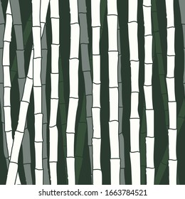 Bamboo forest set. Nature. Japan., China. Plant. Green tree with leaves. Rainforest in Asia