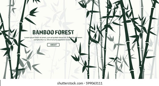Bamboo forest set. Nature. Japan., China. Plant. Green tree with leaves. Rainforest in Asia.