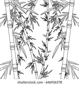 bamboo forest set. spa nature. plant tree with leaves.