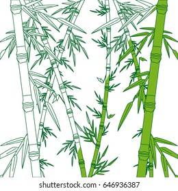 bamboo forest set. spa nature. plant tree with leaves.