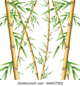 bamboo forest set. spa nature. plant tree with leaves.